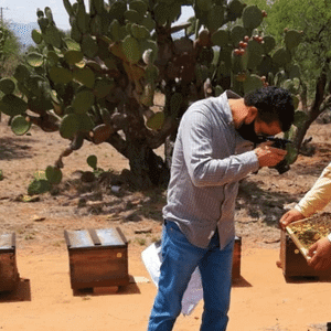 Efrén Ruiz Díaz, propietario de MIELes México, descubriendo el maravilloso mundo de las abejas
