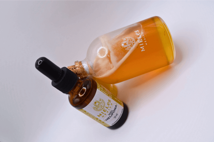 Miel de abeja melipona de Scaptotrigona mexicana cosechada en la Huasteca Potosina, una de las mieles de abeja mexicanas con poder antibiótico