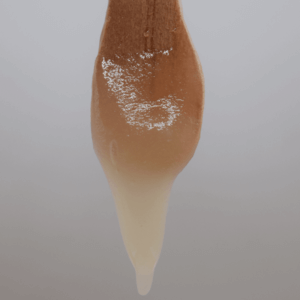 Miel de flor de mezquite: la miel de abeja no. 1 para diabéticos