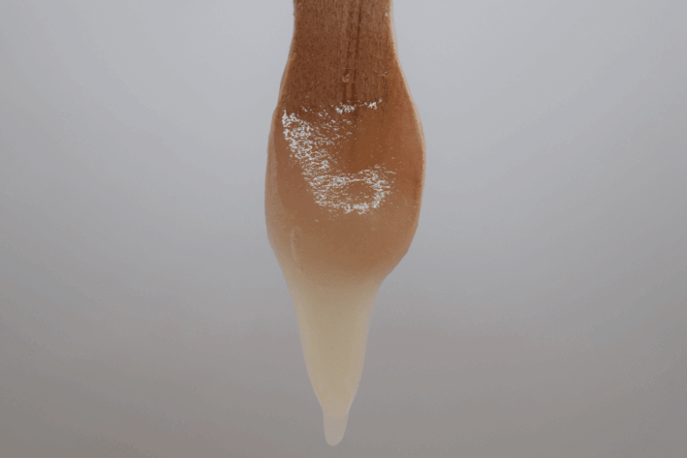 Miel de mezquite, miel blanca de México