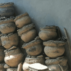 MIELes México y la miel de abeja melipona sin aguijón, elixir medicinal para los ojos