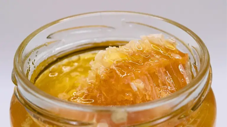 Miel de abeja en panal, un superalimento que contiene cera, miel, polen, propóleo y jalea real.