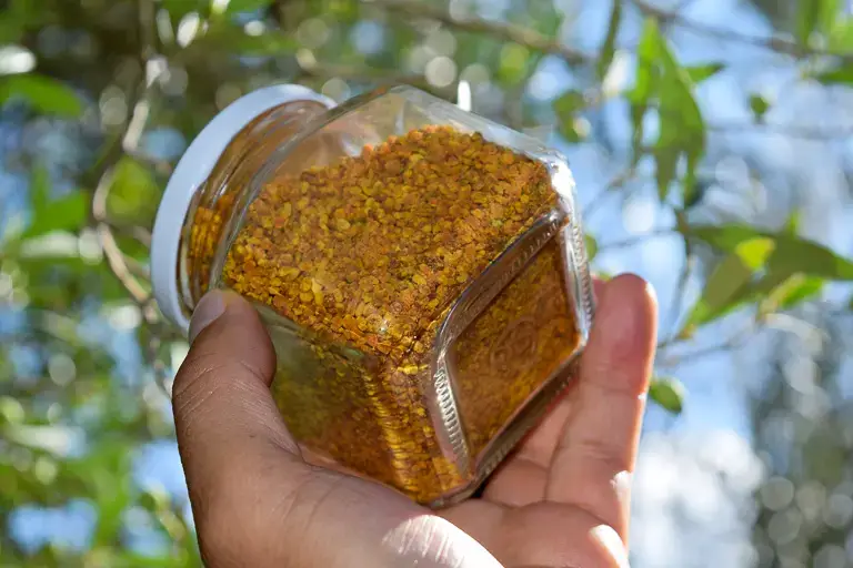 Polen de abeja, un superalimento natural para tener una vida saludable