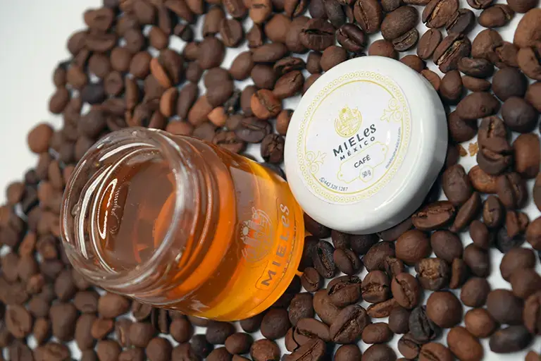 Miel de floración de café cosechada en las plantaciones del estado de Chiapas