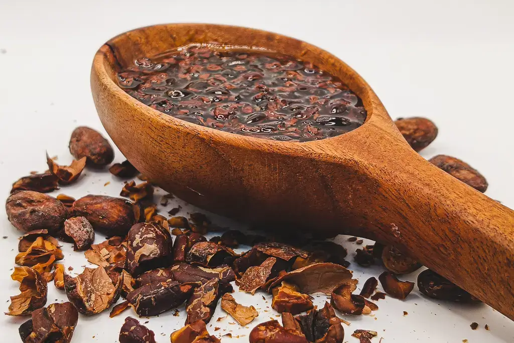 Nibs de cacao con miel de abeja: dos alimentos 100% puros