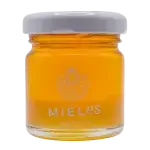 Miel de Acahual (Chiapas)