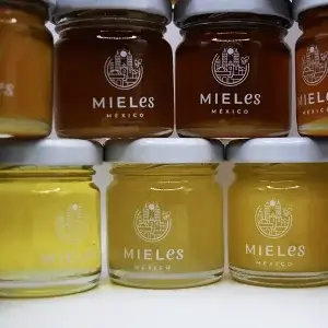 Los tipos de miel mexicana, 100% naturales y medicinales