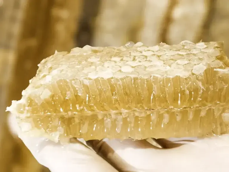 Panal de abeja