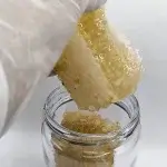 Miel de abeja en panal