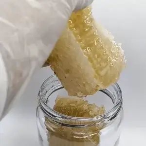 Miel de abeja en panal