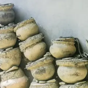 Ollas de miel melipona. la miel medicinal con propiedades antioxidantes y funcionales