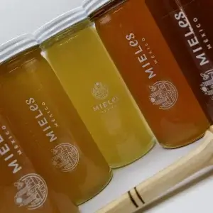 Frascos de MIELes México moflorales 100% puras con propiedades antioxidantes y funcionales