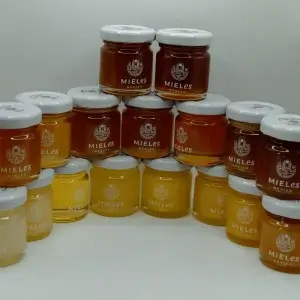 Mieles monoflorales provenientes de diferentes floraciones