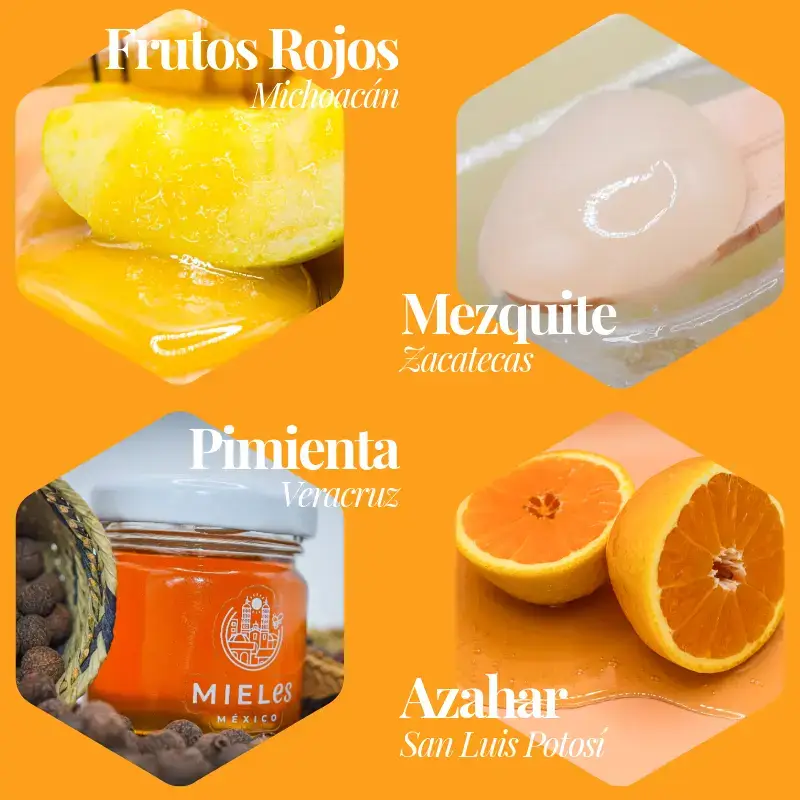 Paquete CU4TRO, 4 x 600 g